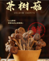 康县茶树菇200克