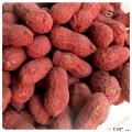 红泥花生