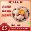 康乐散养农家土鸡蛋 40枚
