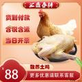 康乐农家散养土鸡 1.25kg-1.5kg