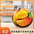水果  香甜多汁贵妃芒5斤