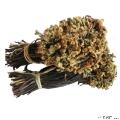 蕨菜200g/盒