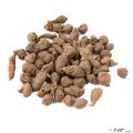 卓尼藏区高原野生蕨麻干500g/盒
