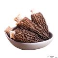 卓尼县藏区野生羊肚菌50克一罐