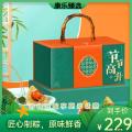 康乐县粽香情浓 粽子礼盒100g*10粒（包邮）