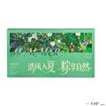 康乐县粽享自然清新森系风礼盒776g
