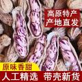 七彩花生