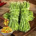 一级贡菜干520g/袋火锅食材