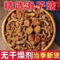 卓尼县高原滑子菇500g