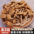 卓尼县高原滑子菇500g