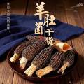 羊肚菌（精品）