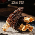 羊肚菌（精品）