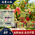 【精品】桃脯