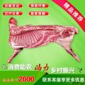 康乐县新鲜整羊【现杀】（30斤左右）