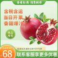 水果 果型饱满，果皮薄好剥  石榴
