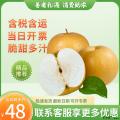 水果  香甜多汁 秋月梨 彩箱（多款彩箱随机）