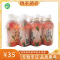 西北特色果茶（啤特果、杏皮茶、百香果红茶）