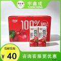 康乐县果汁苹果汁饮料