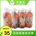 甘肃康乐特产果汁饮料（啤特果汁、杏皮茶、百香果红茶）
