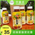 甘肃康乐特产果汁饮料（啤特果汁、杏皮茶、百香果红茶）