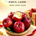 卓尼县高原苹果混合装时令新鲜水果