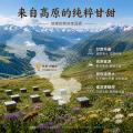 舟曲县条形状土蜂蜜（便携式14g*10条/盒）