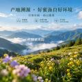 舟曲县百花蜜（礼盒喜庆装）500g*2瓶