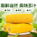 真空开袋即食水果玉米8根装