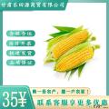 真空开袋即食水果玉米8根装