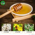 康乐县特产百花蜜【特色推荐】