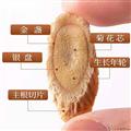 临夏特级农家土黄芪250g切片