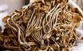 茶树菇（200克袋装）