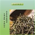 新茶甘肃陇南康县茶叶特产茶农直供200g包邮