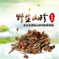 卓尼县藏区高原精品茶树菇200g/袋