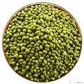 康县农家绿豆    500g/袋