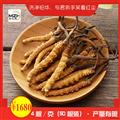 冬虫夏草（12.5g*盒）50根装