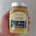 陇原蜜都 百花蜜 康县山珍