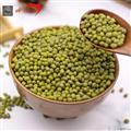 康乐县精选绿豆（袋装500g）