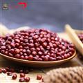 康乐县精选红豆红小豆杂粮（袋装500g）