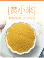 精选黄小米1000g/袋