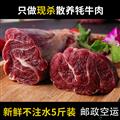 卓尼县-新鲜牦牛肉5斤/箱