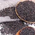 精选杂粮黑米特级黑米500g/包（包邮）