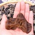 康县青冈树椴木黑木耳特级500g散装