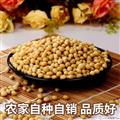 康县农家黄豆500克*袋