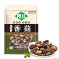 康县椴木金钱菇250克/袋