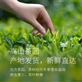康县陇南绿茶满福翠峰茶袋装 250g