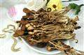 盒装茶树菇200克/盒