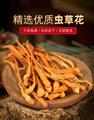 康县虫草花  400g/袋