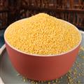 农家自种黄小米500g/袋