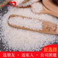 精选稻花香大米(5kg/份）康乐县麦之魂扶贫车间